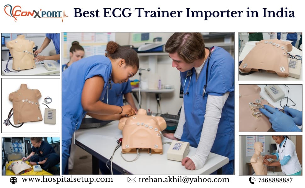 Best Ecg Trainer Manufacturer in India-Electrocardiogram Placement Trainer